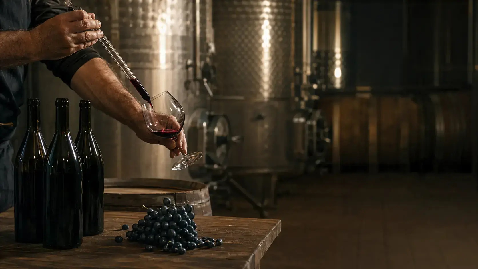 Tasting flight in the cellar, assessing a wine product